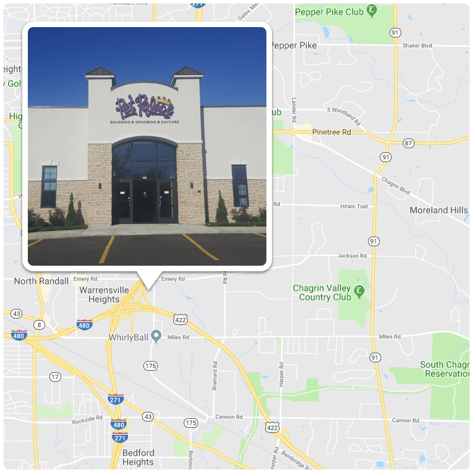 Pet Boarding Cleveland Ohio Dog Daycare Pet Grooming Pet Palace