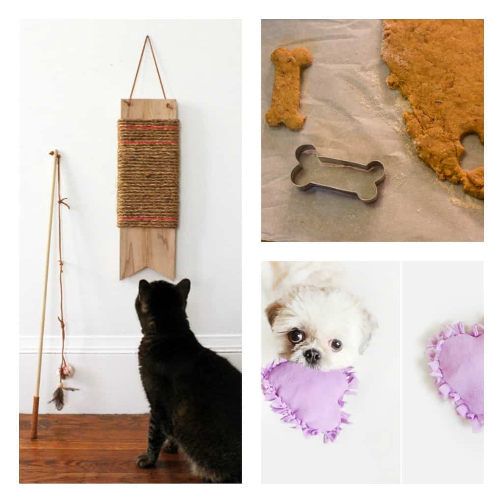 DIY Pet Gifts