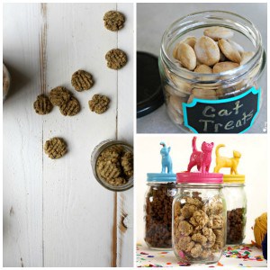 DIY Cat Treats