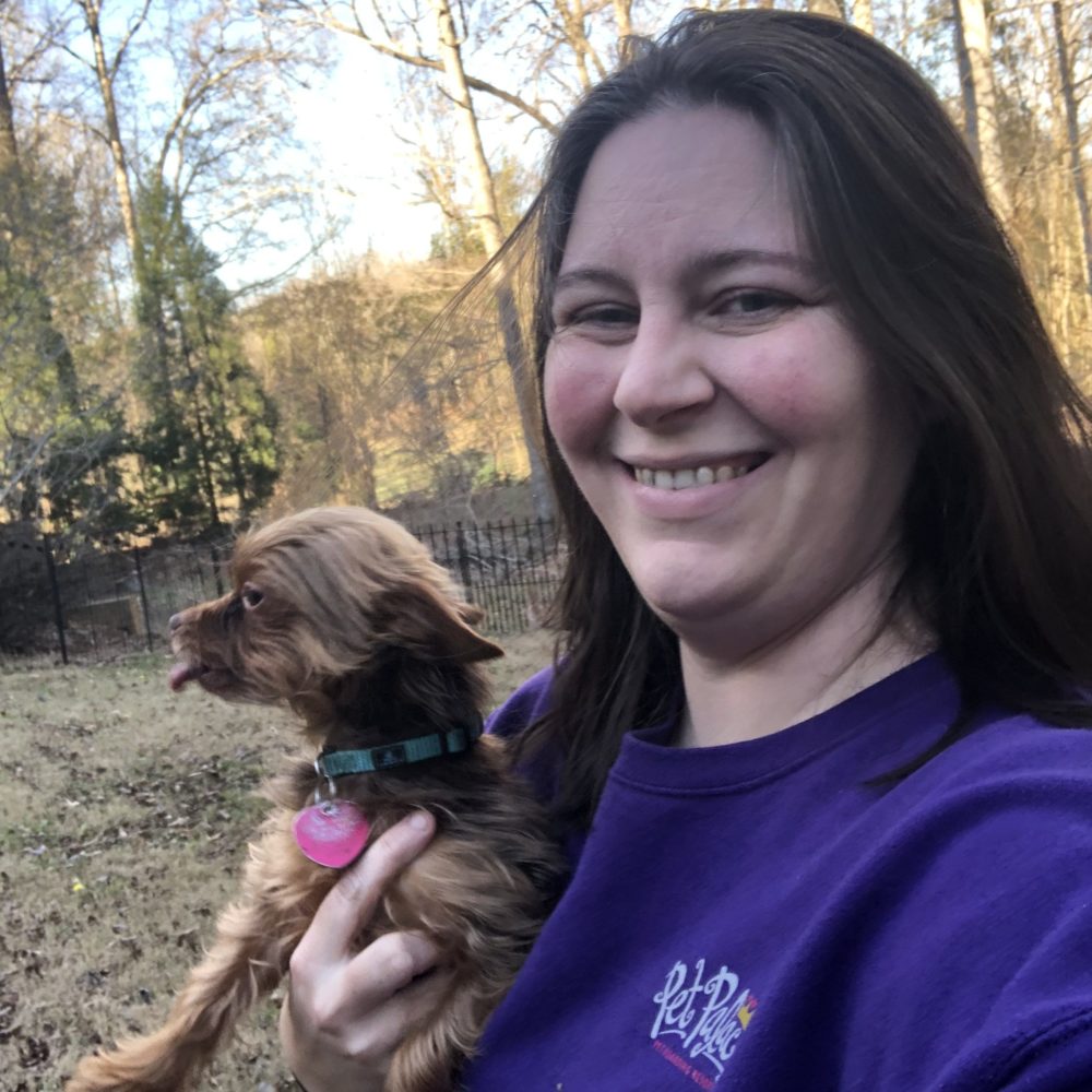 Pet Boarding in Charlotte, North Carolina Dog Daycare Pet Palace