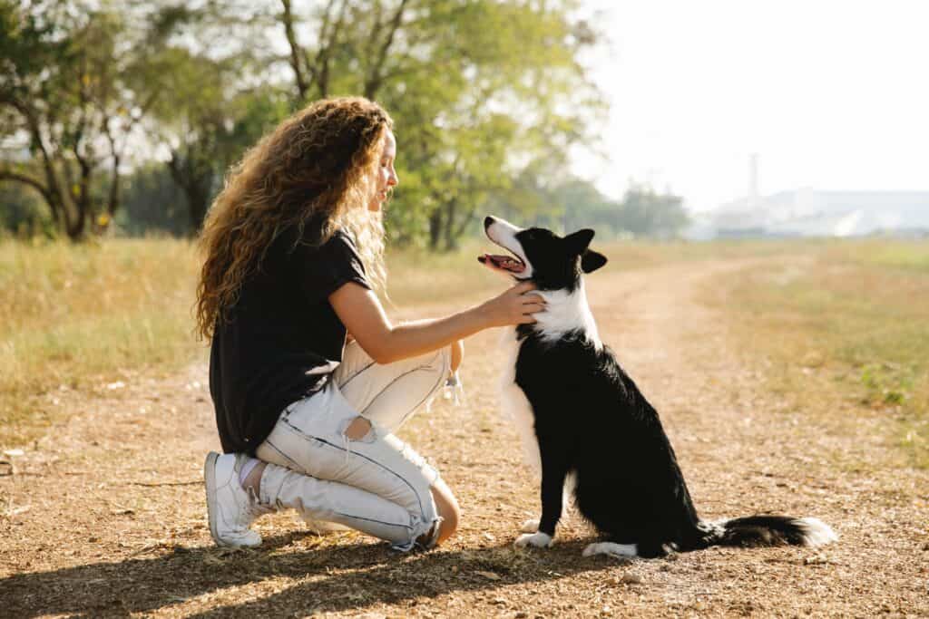 Exploring Hands-Free Dog Leashes