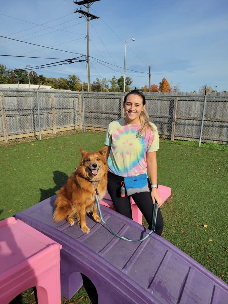 Pet Palace Dog Training