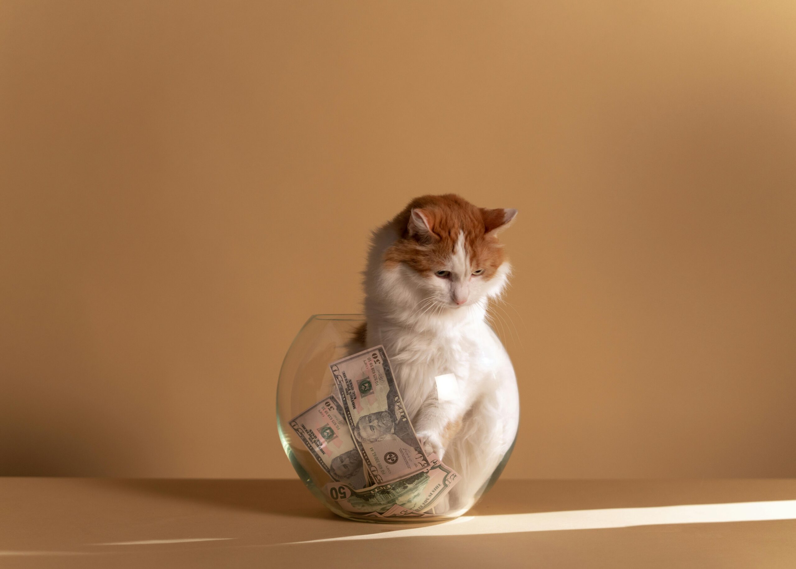 how to budget for pet ownership