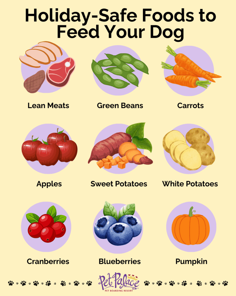 holiday-safe foods to feed your dog
